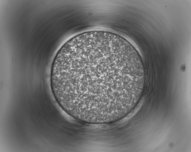 X0000101971438200808151328