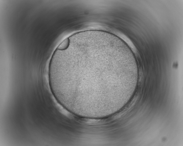 X0000101971439200808151328