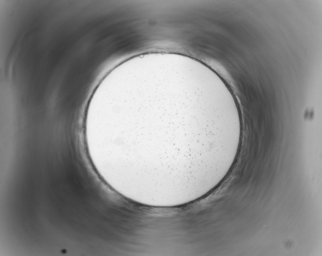 X0000101971440200808151328