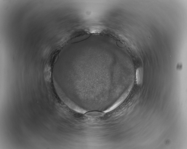 X0000101971443200808151327
