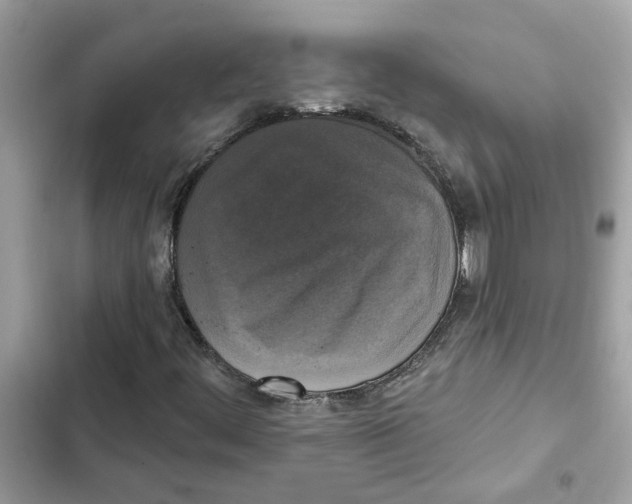 X0000101971444200808151327