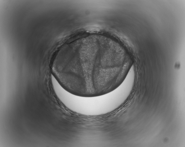 X0000101971445200808151327