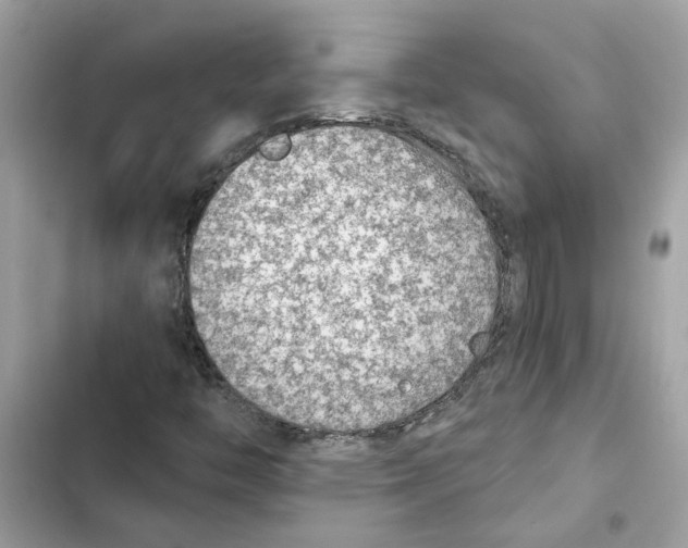X0000101971446200808151327