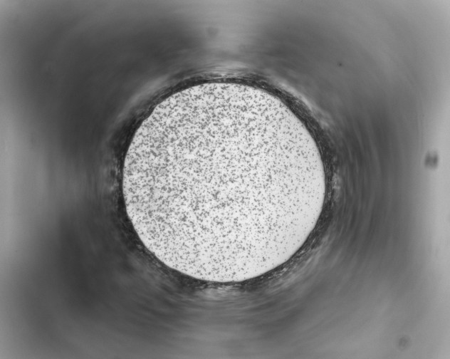 X0000101971447200808151327