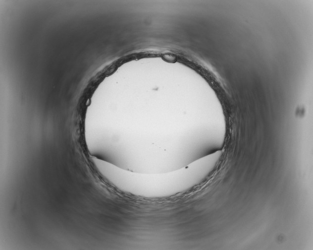 X0000101971448200808151327