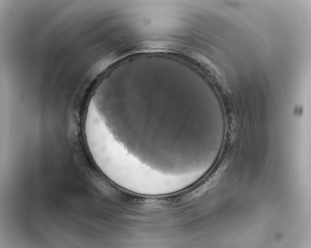 X0000101971449200808151327