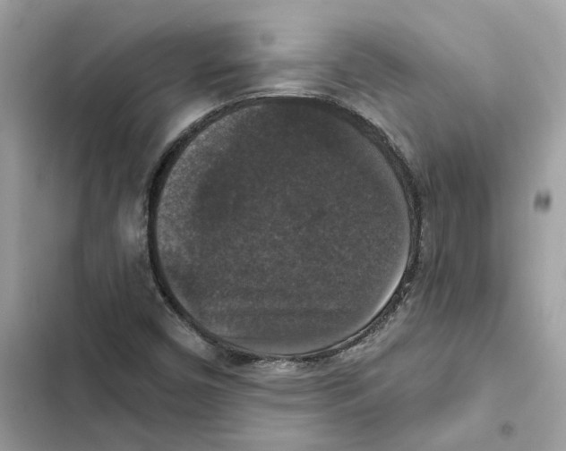 X0000101971450200808151327