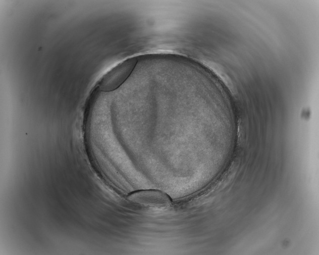 X0000101971452200808151327
