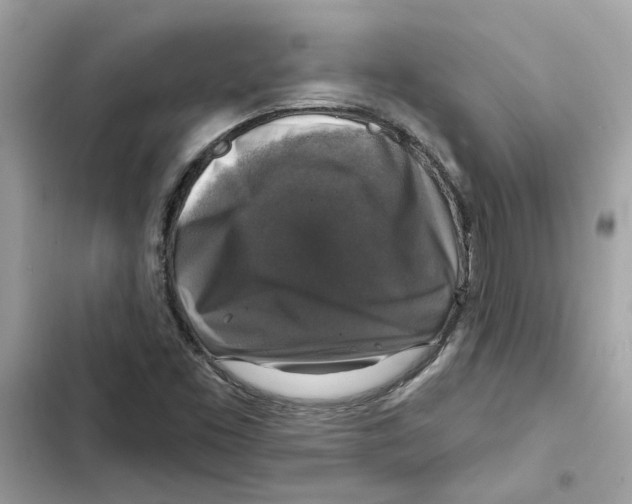 X0000101971453200808151327
