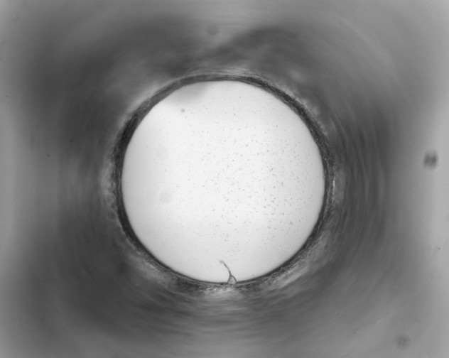 X0000101971454200808151327