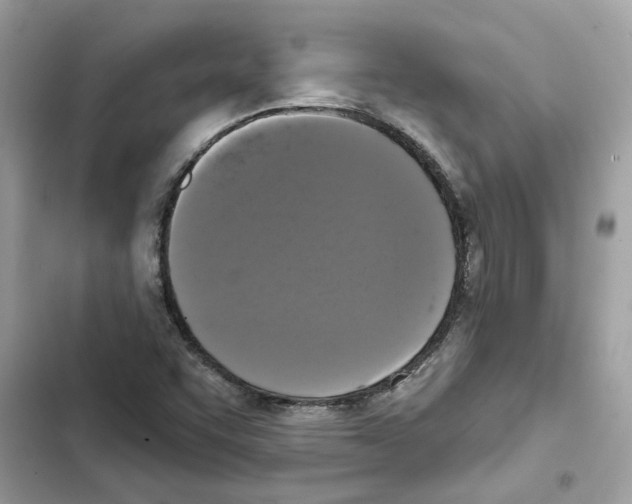 X0000101971455200808151327