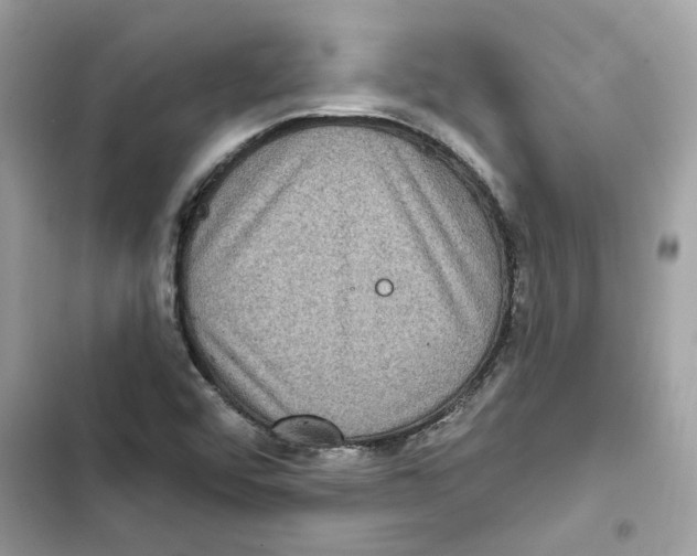 X0000101971456200808151327