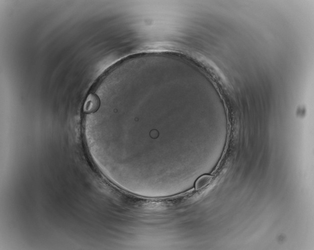 X0000101971457200808151327