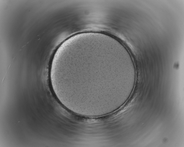 X0000101971459200808151326