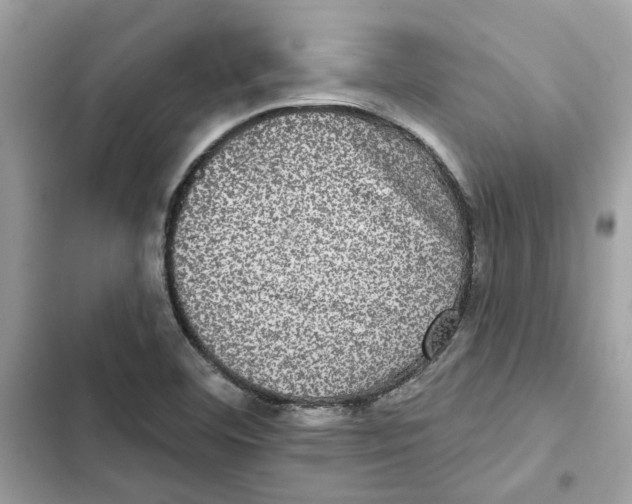 X0000101971460200808151326