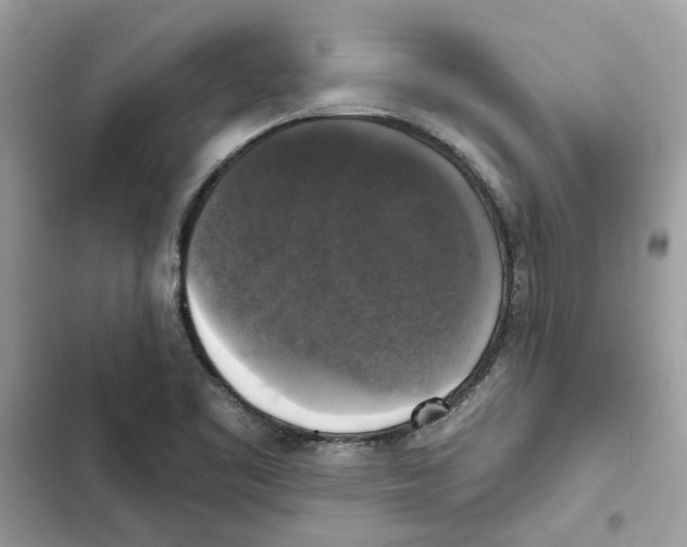 X0000101971461200808151326