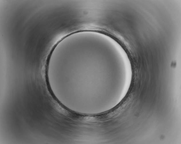X0000101971463200808151326