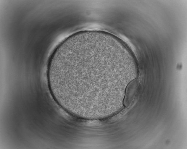X0000101971464200808151326