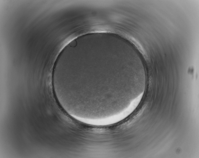 X0000101971465200808151326
