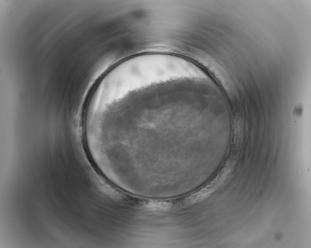 X0000101971466200808151326
