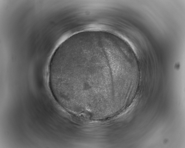 X0000101971467200808151326