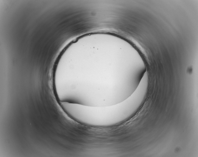 X0000101971468200808151326