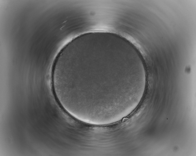 X0000101971469200808151326