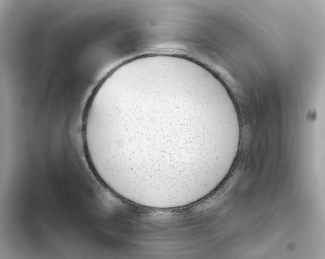 X0000101971470200808151326