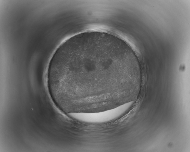 X0000101971471200808151326