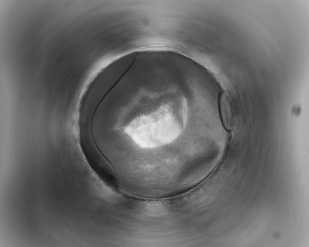 X0000101971472200808151326