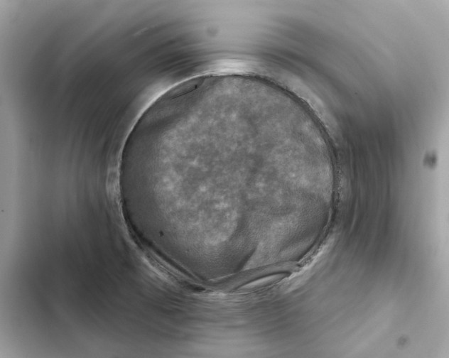 X0000101971473200808151326