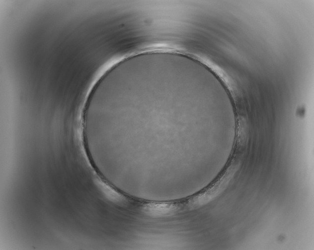 X0000101971474200808151326