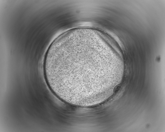 X0000101971475200808151326