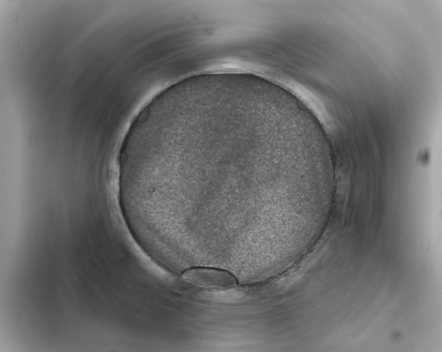 X0000101971476200808151326