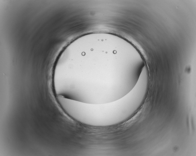 X0000101971477200808151326