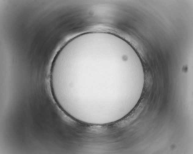 X0000101971478200808151326