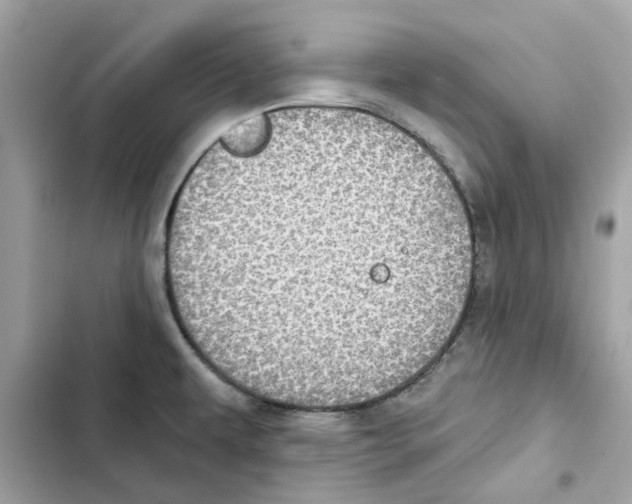 X0000101971479200808151326