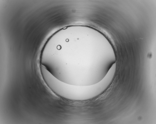 X0000101971480200808151326