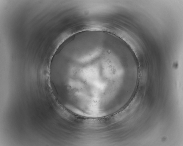 X0000101971481200808151326