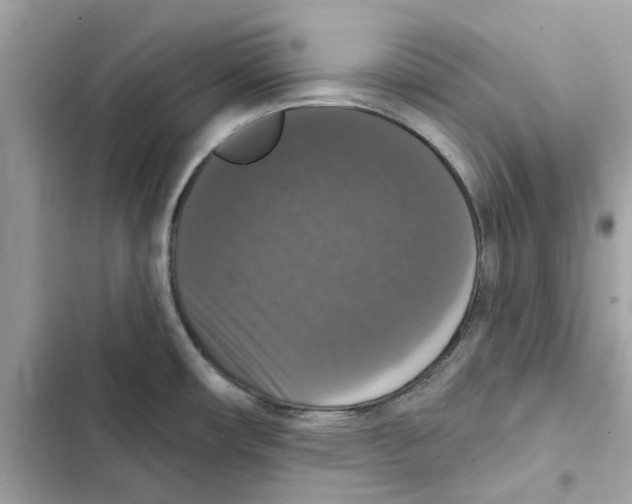 X0000101971482200808151326