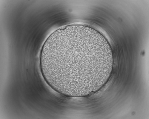 X0000101971483200808151326