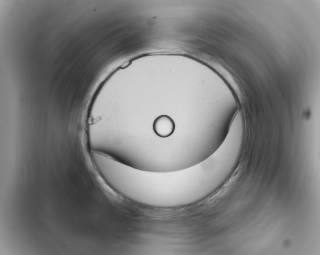 X0000101971485200808151326