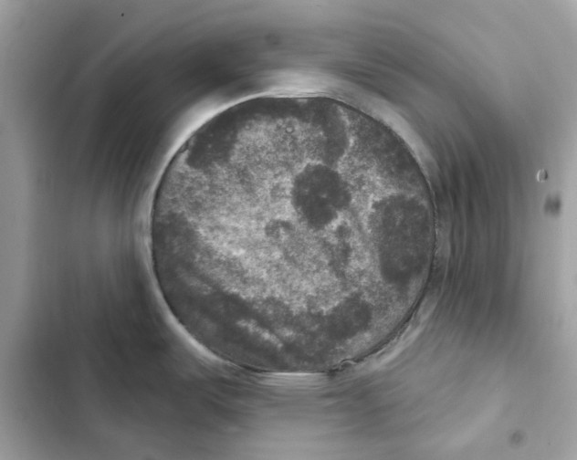 X0000101971487200808151326