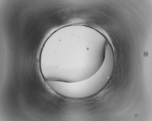X0000101971488200808151326
