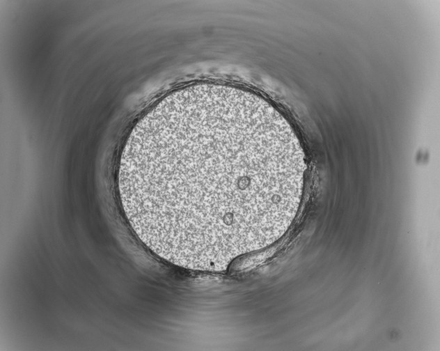 X0000101971489200808151325