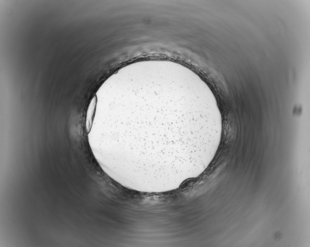 X0000101971490200808151325