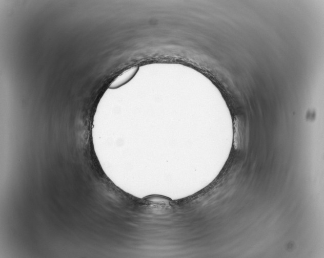 X0000101971491200808151325