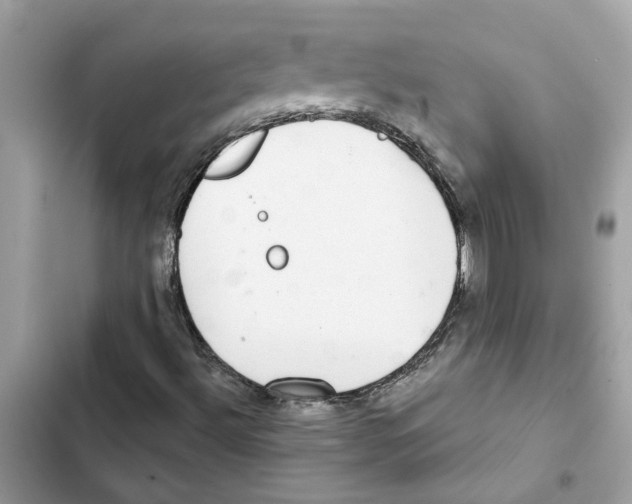 X0000101971492200808151325