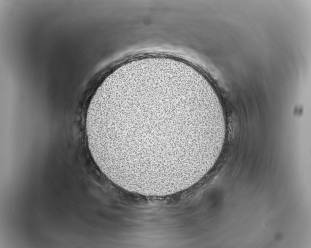 X0000101971494200808151325