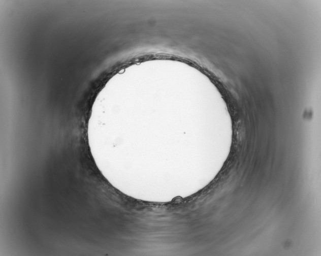 X0000101971495200808151325